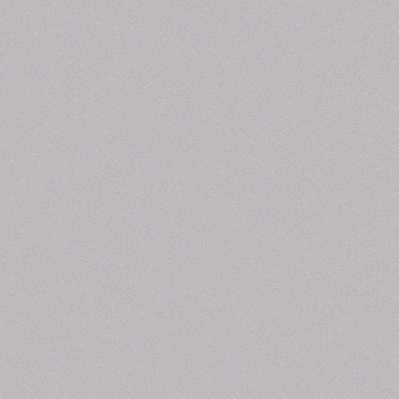 Argintiu | RAL 9006 silkline