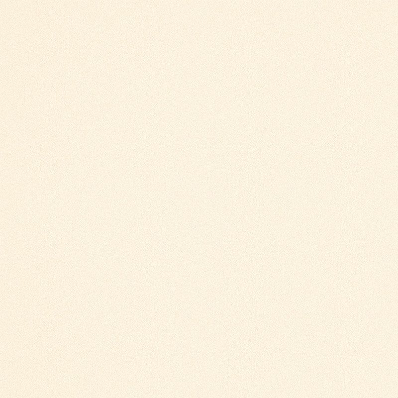 Modern pearl | RAL 1013